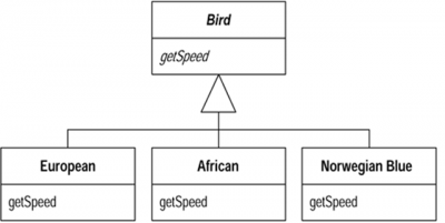 polymorphism