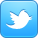 twitterICon